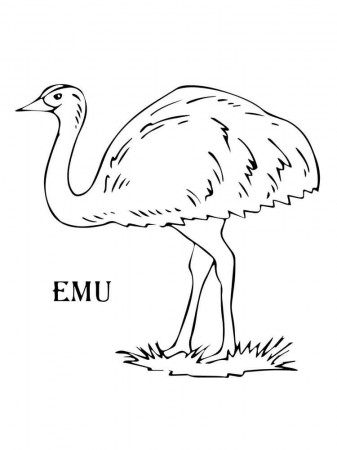 Free printable Emu coloring pages for kids. 1000+ best coloring page