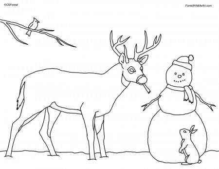 Coloring Pages For Kids Koloringpages Free Printable Coloring ...