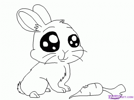 Free Coloring Pages Of Draw A Bunny Anime Animals Coloring Pages ...