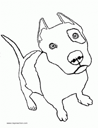 Pitbull Coloring Page - Coloring Pages for Kids and for Adults