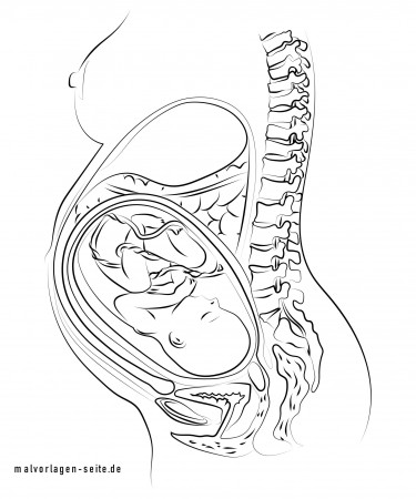 Coloring page pregnancy baby in the womb - free coloring pages