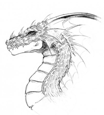 Cool Drawing Of Dragons - Drawing Art Library