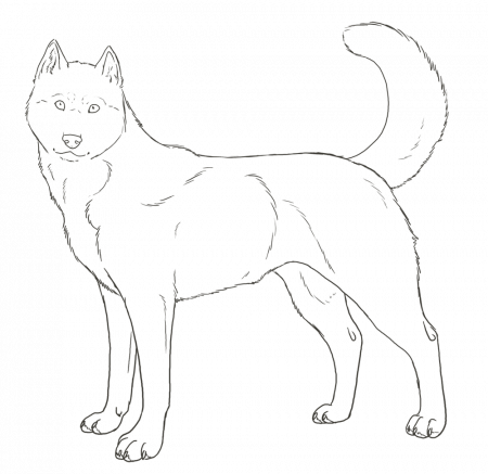 Free Searchqhusky, Download Free Searchqhusky png images, Free ClipArts on  Clipart Library