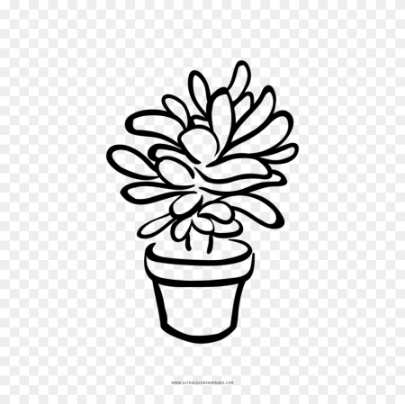 Succulent Coloring Page - Succulents Clipart – Stunning free transparent  png clipart images free download