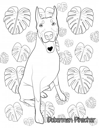 Doberman Coloring Page Dog Coloring Page - Etsy