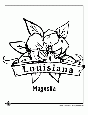Louisiana State Flower Coloring Page | Woo! Jr. Kids Activities :  Children's Publishing