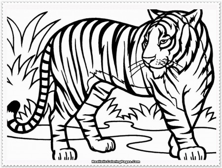 Tiger coloring pages | Animal coloring pages | #28 Free Printable ...