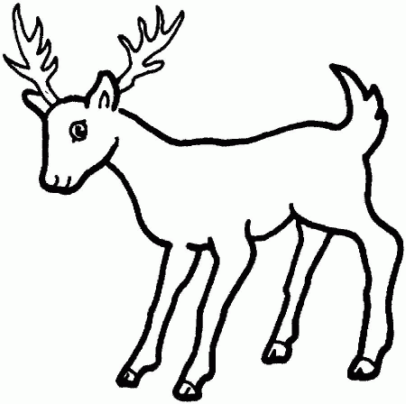 Browning Deer Coloring Pages - Coloring Pages For All Ages