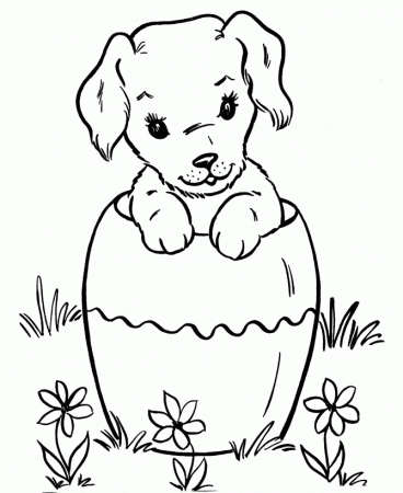 Facts Cute Little American Bulldog Puppy Coloring Page For ...