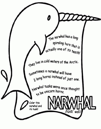 Narwhal Coloring Page | crayola.com