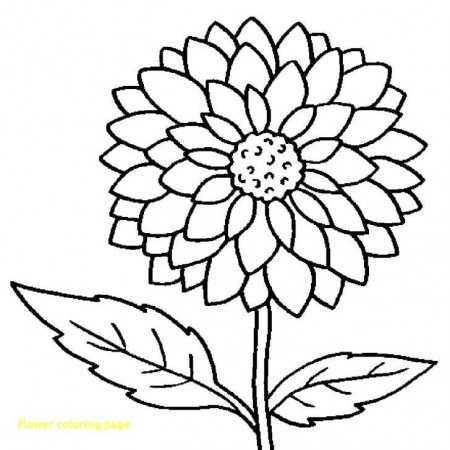 25+ Creative Photo of Spring Flowers Coloring Pages - albanysinsanity.com | Flower  coloring sheets, Flower coloring pages, Printable flower coloring pages