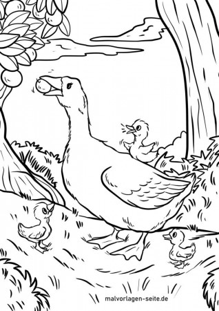 Coloring page goose | Geese Birds - Free Coloring Pages