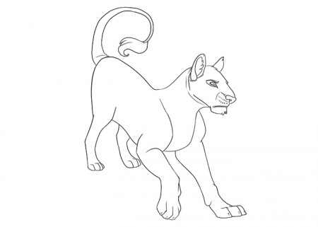 Lioness coloring pages – Coloring pages