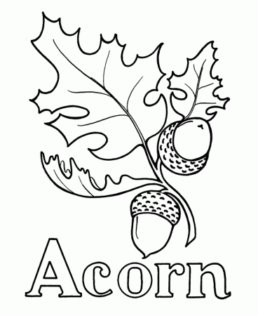 Free Acorns Coloring Pages, Download Free Clip Art, Free Clip Art on  Clipart Library