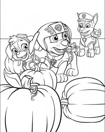 Skye, Zuma and Chase - Paw Patrol Coloring Pages