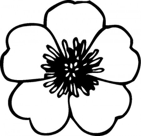 colouring pages for flower free printable flower coloring pages ...