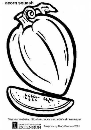 Coloring Page acorn squash - free printable coloring pages