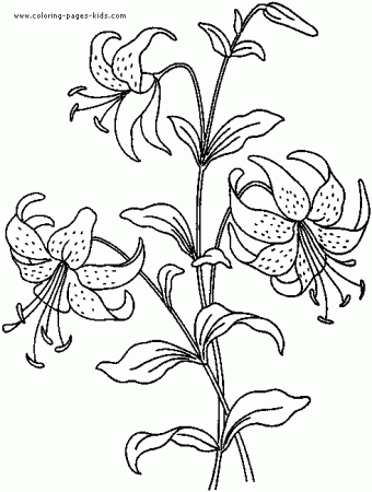flower Page Printable Coloring Sheets | Flowers coloring ...
