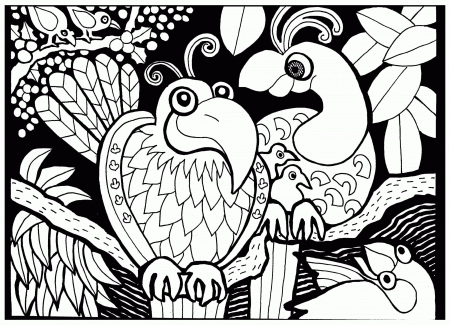 Birds Of Africa Coloring Pages Africa Flag Coloring Pages. Kids ...