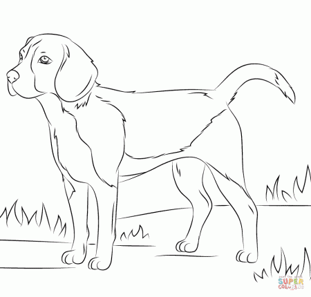 Dogs coloring pages | Free Coloring Pages