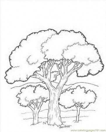Printable Coloring Pages Trees And Leaves – Susanrearick Preschool