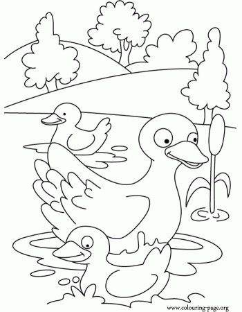 Duck and Duckling - Mother duck and her ducklings coloring page