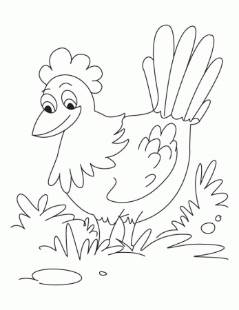 Pin Hen Coloring Page Cake