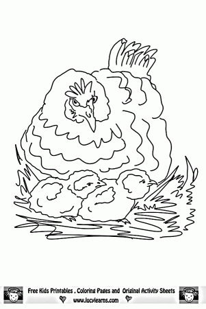 Hen Coloring Page,Lucy Learns Chicken Coloring Page Collection to 