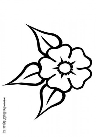 FLOWER coloring pages - Carnation