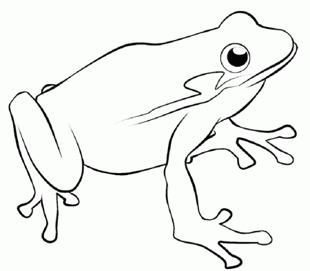 Coloring Pages Frogs 9 | Free Printable Coloring Pages