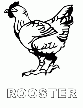 rooster printable coloring in pages for kids - number 1805 online