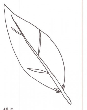 turkey feathers Colouring Pages