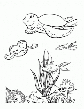 fish snapper Colouring Pages