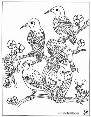 Branch Coloring Page Flying Bird To Color Online