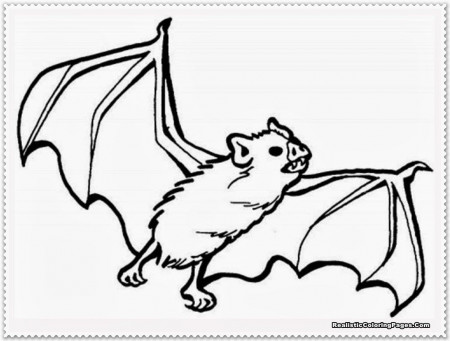 Realistic Bat Coloring Pages | Realistic Coloring Pages