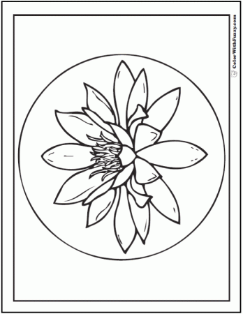 12 Lily Coloring Pages ✨ Fun Interactive Notebook PDF Printables