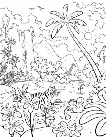 Creation-coloring-pages | Creation coloring pages, Jungle coloring pages,  Lds coloring pages