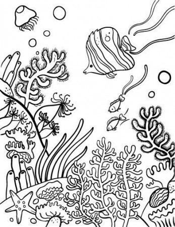 Great barrier reef colouring | Coral reef drawing, Coloring pages, Coral  reef color