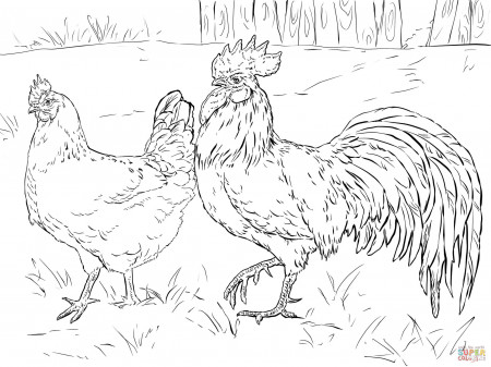 Rooster - Coloring Pages for Kids and for Adults