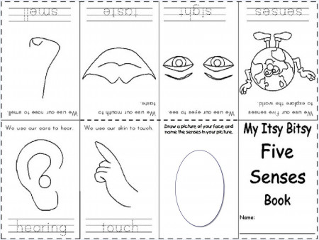 Best Photos of Free Five Senses Printable - Preschool Five Senses ...