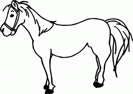 Cartoon Horse Coloring Page (10) | Wecoloringpage