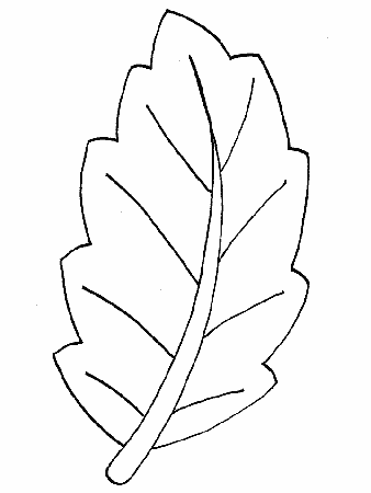 Free Leaf Printable Coloring Pages - High Quality Coloring Pages