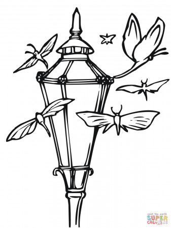 Moths and Lantern coloring page | Free Printable Coloring Pages