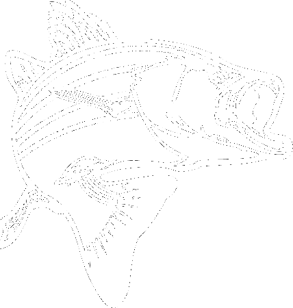 Bass Fish Coloring Page Super - ClipArt Best - ClipArt Best