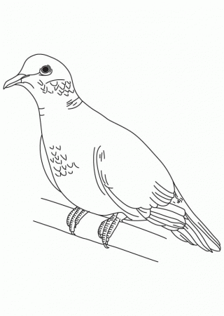 Practice Free Coloring Pages Of Dove, Extent Dove Coloring Page ...
