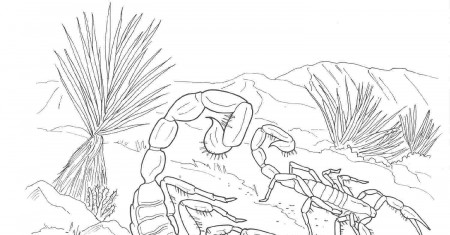 Anime Scorpion Coloring Pages - Coloring Pages For All Ages