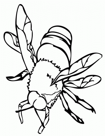 Bee Coloring Pages | UniqueColoringPages