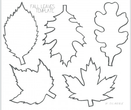 Palm Leaf Coloring Page Line Art Hd Png Download Kindpng Coloring Home