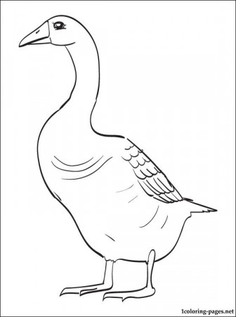Animals goose coloring page | Coloring pages