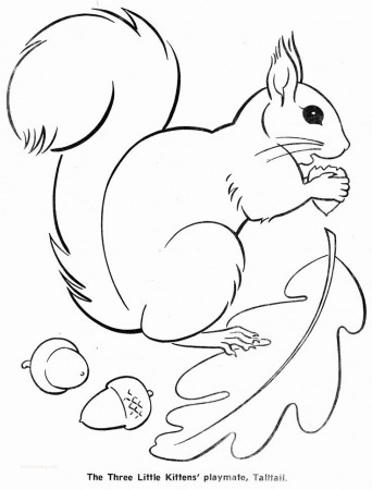coloring pages : Squirrel Coloring Page Inspirational Fall Animals Coloring  Pages In 2020 Squirrel Coloring Page ~ peak